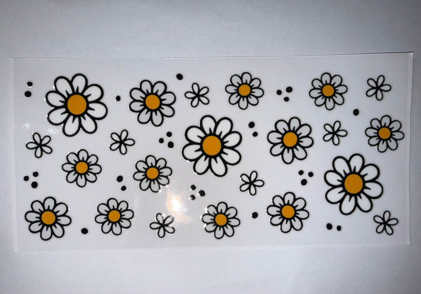 Daisies